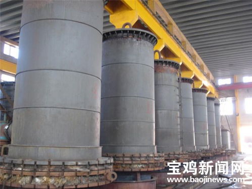 寶鈦集團總經理雷讓岐 以盛會為契機，以技術開發驅動企業更高質量發展